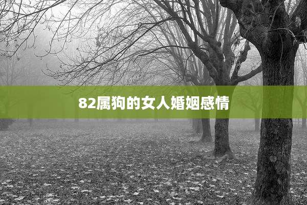 82属狗的女人婚姻感情