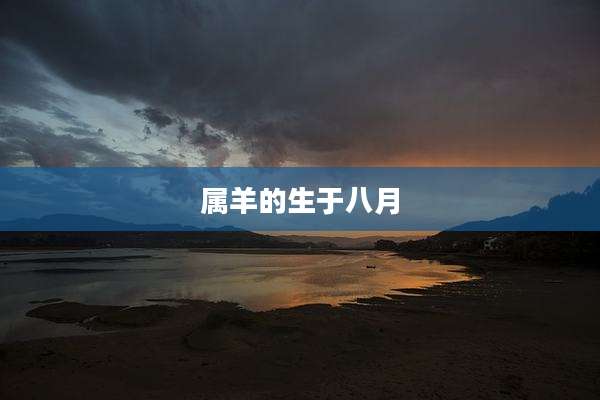 属羊的生于八月