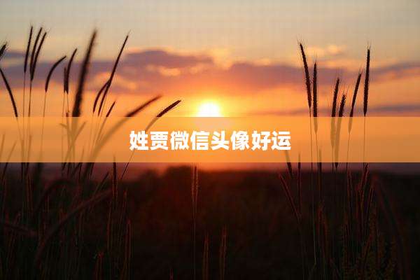 姓贾微信头像好运