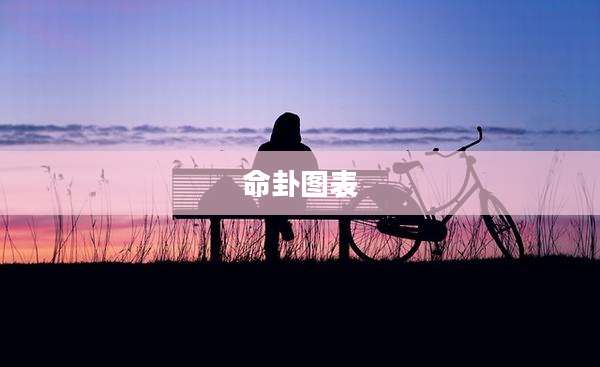 命卦图表