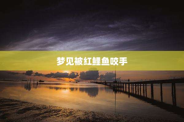 梦见被红鲤鱼咬手