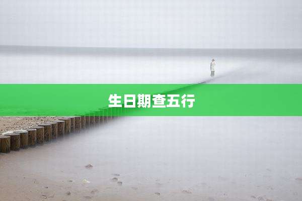 生日期查五行