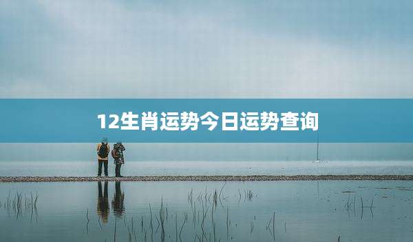 12生肖运势今日运势查询