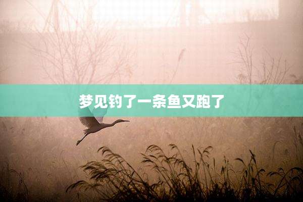 梦见钓了一条鱼又跑了