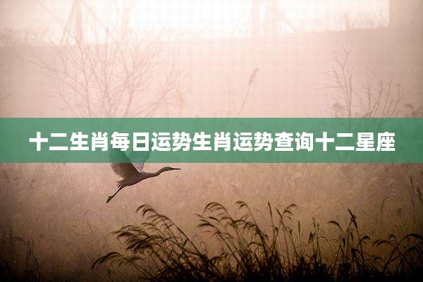 十二生肖每日运势生肖运势查询十二星座