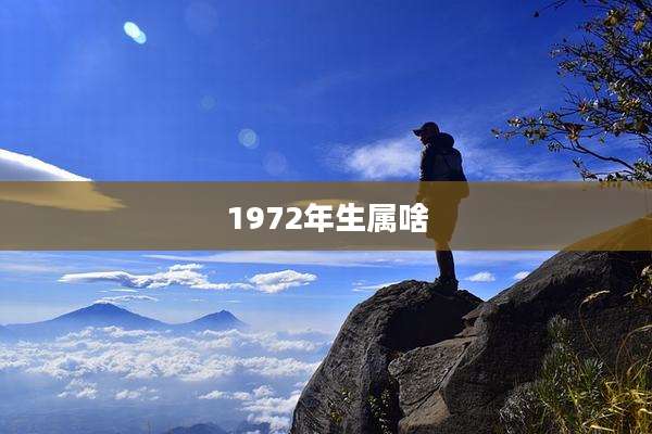 1972年生属啥