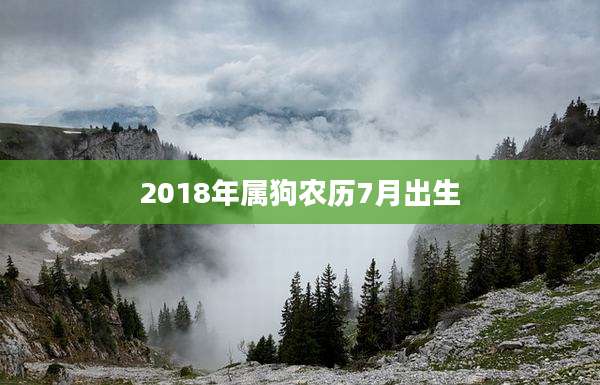 2018年属狗农历7月出生