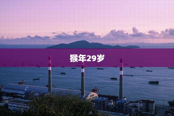 猴年29岁