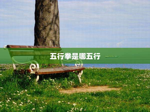 五行拳是哪五行
