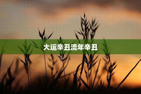 大运辛丑流年辛丑