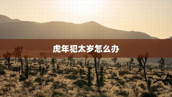 虎年犯太岁怎么办