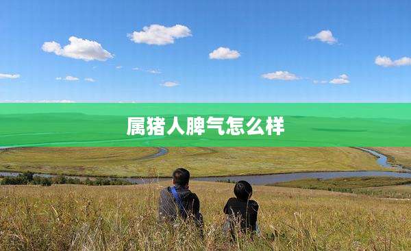 属猪人脾气怎么样