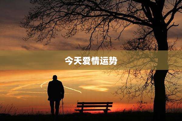 今天爱情运势