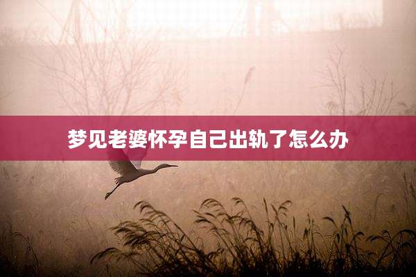 梦见老婆怀孕自己出轨了怎么办