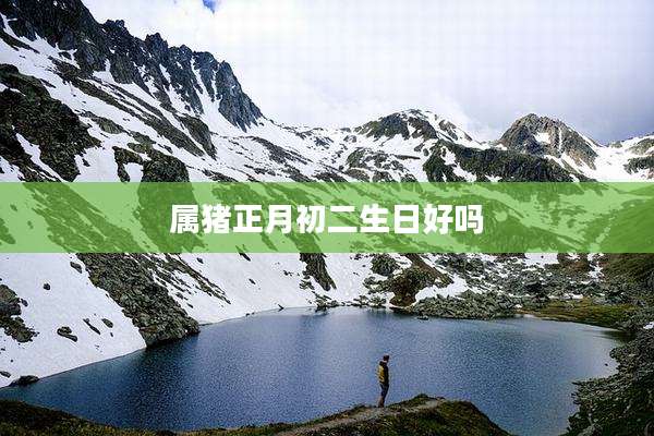属猪正月初二生日好吗