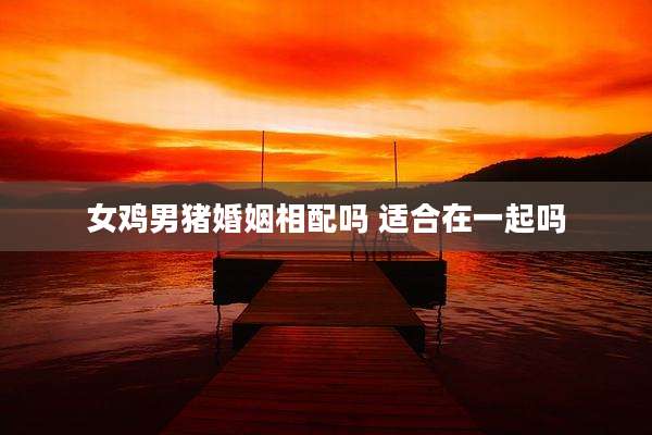 女鸡男猪婚姻相配吗 适合在一起吗