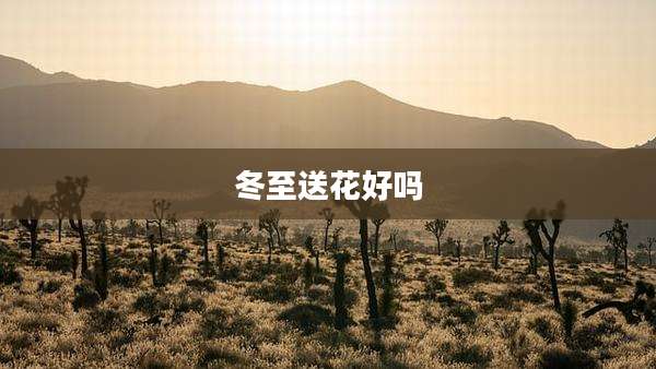 冬至送花好吗