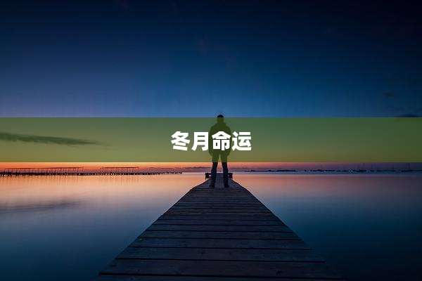 冬月命运