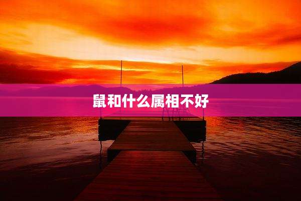 鼠和什么属相不好