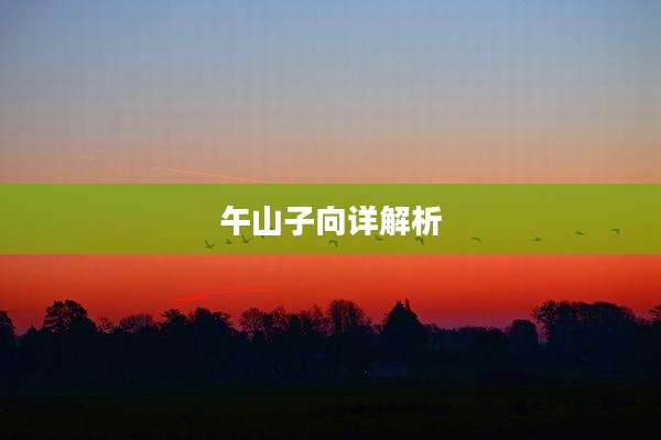 午山子向详解析