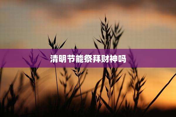 清明节能祭拜财神吗