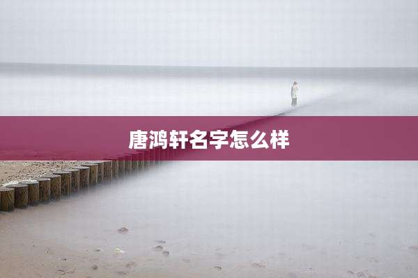 唐鸿轩名字怎么样