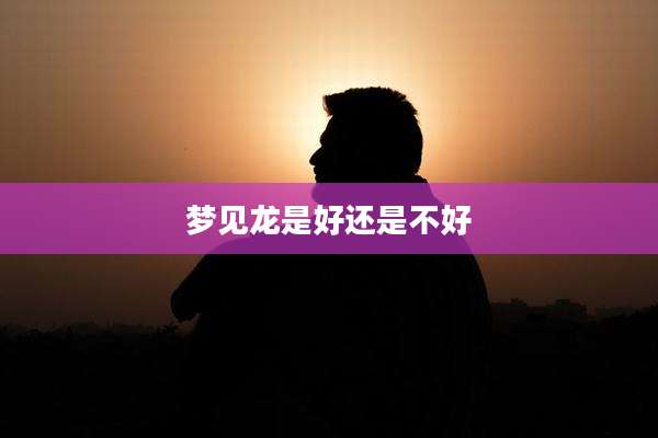 梦见龙是好还是不好