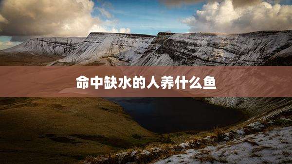 命中缺水的人养什么鱼