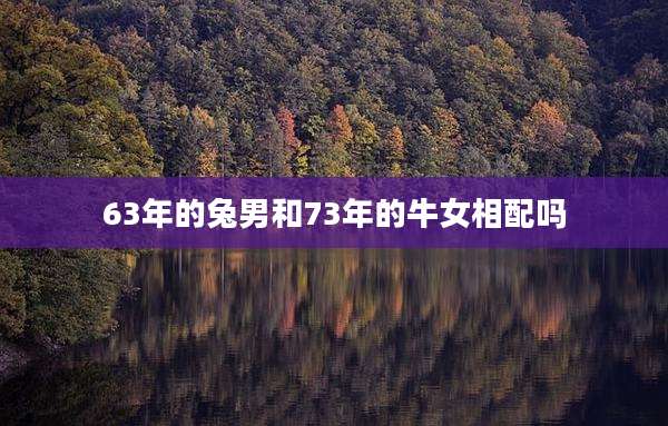 63年的兔男和73年的牛女相配吗