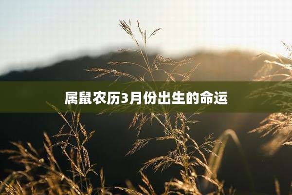 属鼠农历3月份出生的命运
