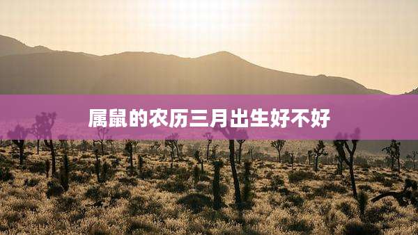 属鼠的农历三月出生好不好