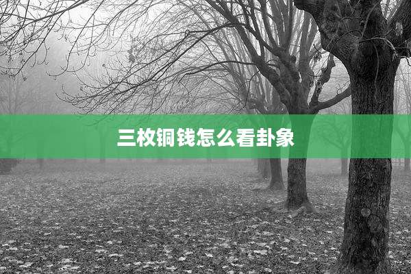 三枚铜钱怎么看卦象