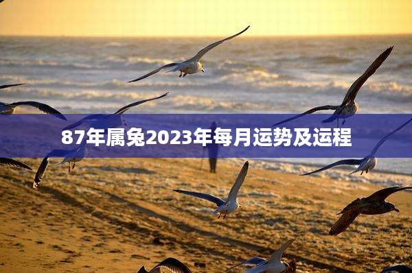 87年属兔2023年每月运势及运程