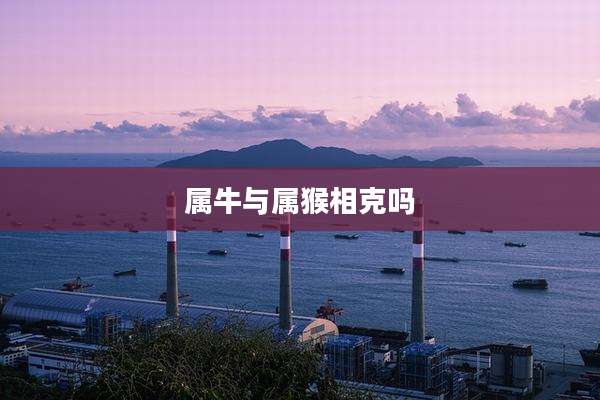 属牛与属猴相克吗