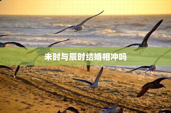 未时与辰时结婚相冲吗