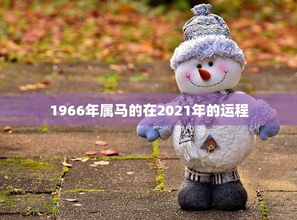 1966年属马的在2021年的运程