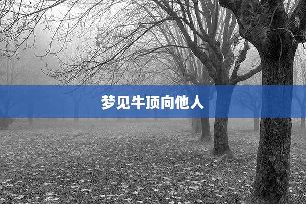 梦见牛顶向他人