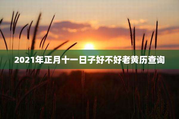 2021年正月十一日子好不好老黄历查询