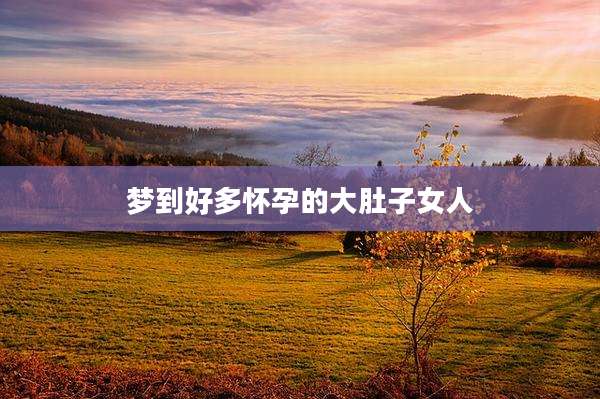 梦到好多怀孕的大肚子女人