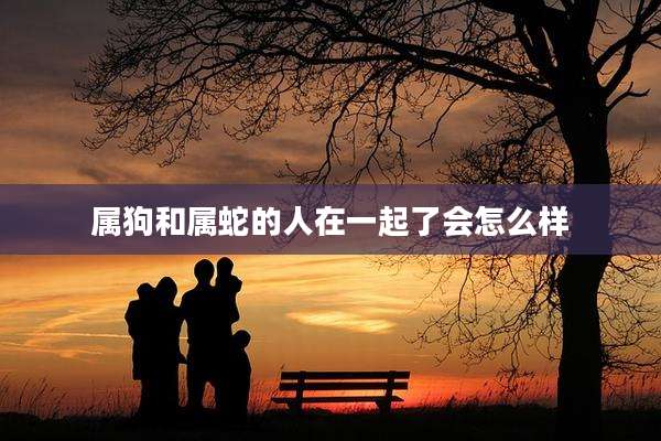 属狗和属蛇的人在一起了会怎么样