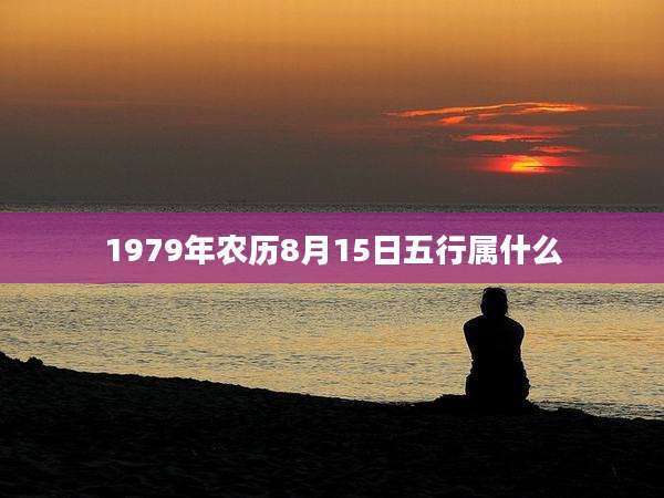 1979年农历8月15日五行属什么