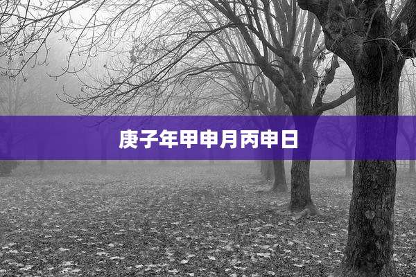 庚子年甲申月丙申日