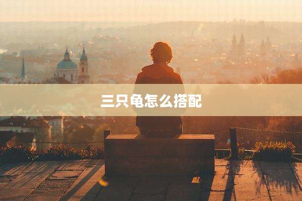 三只龟怎么搭配