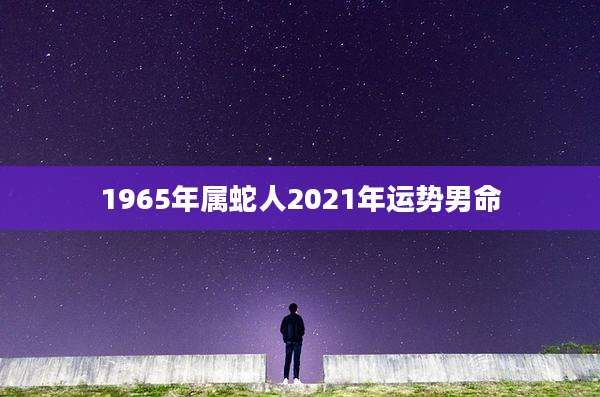 1965年属蛇人2021年运势男命