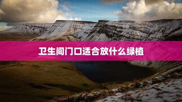 卫生间门口适合放什么绿植