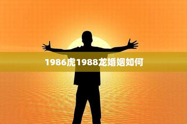 1986虎1988龙婚姻如何