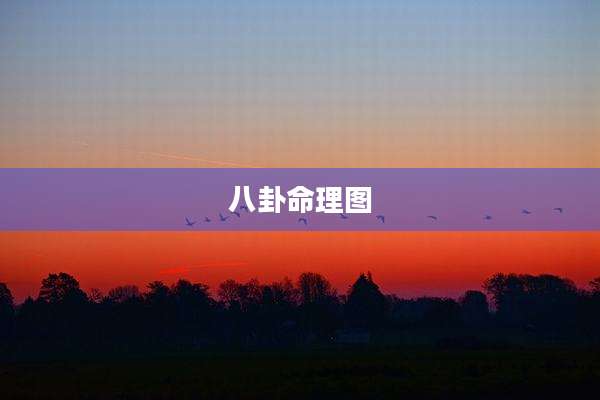 八卦命理图