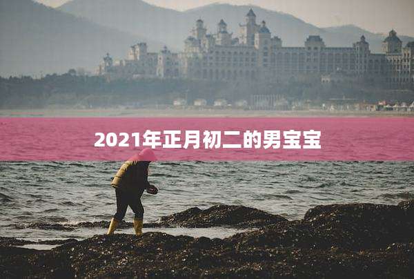 2021年正月初二的男宝宝