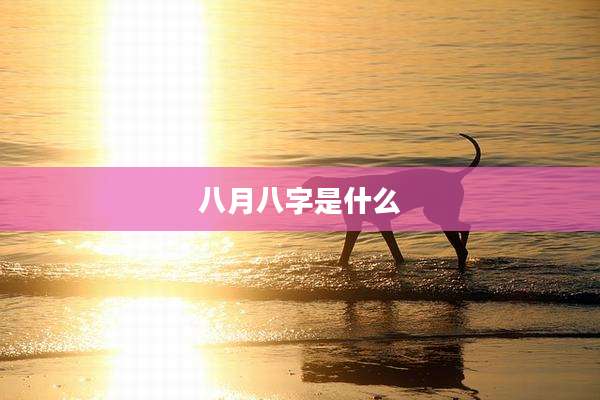 八月八字是什么