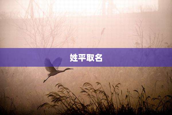 姓平取名